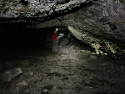 Random Photo: Tree Molds Trail and Buffalo Caves