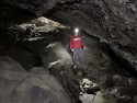 Random Photo: Tree Molds Trail and Buffalo Caves