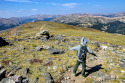 Random Photo: Mount Flora + Colorado Mines Peak