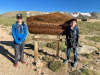 It was nice to start the hike at the top of Rollins/Corona Pass at 11,660'....